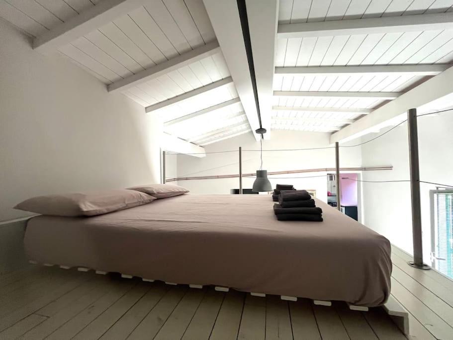 Favoloso Duplex Con Terrazzo Rom